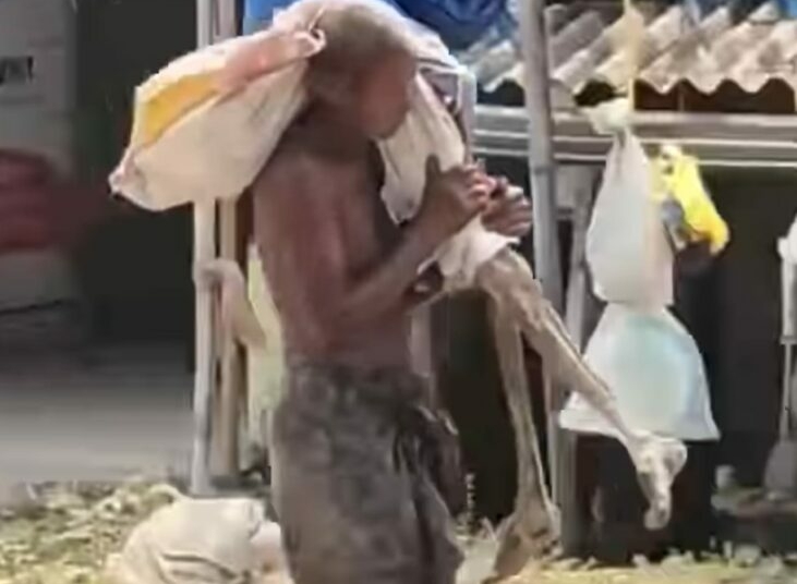 Indian Man Digs Up Sister’s Skeleton To Prove Death, Claim Savings 1 WhatsApp Image 2026 04 28 at 11.59.25 AM