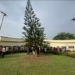 OAU Abruptly Declares 3-Week Mid-Semester Break After Student Protest Over Transportation, Welfare 2 OAU Abruptly Declares 3-Week Mid-Semester Break After Student Protest Over Transportation, Welfare
