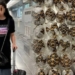 Teen Arrested At Bangkok Airport For Smuggling 30 Tortoises 5 Teen Arrested At Bangkok Airport For Smuggling 30 Tortoises
