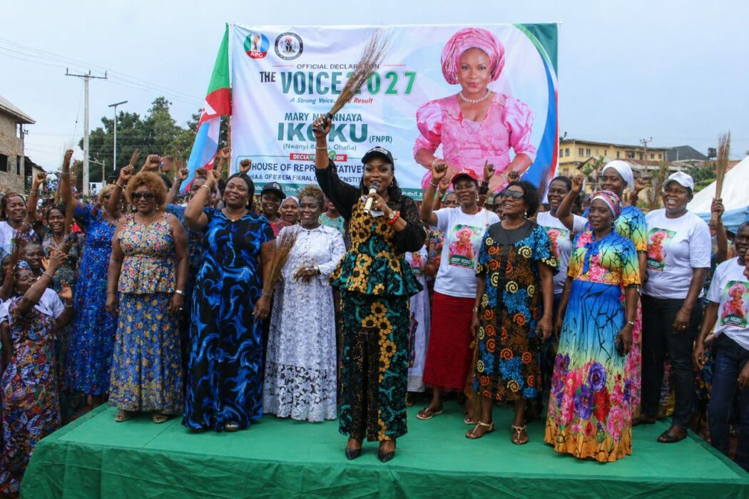 Abia: Ikoku Seeks Reps Seat, Promises Inclusive Leadership