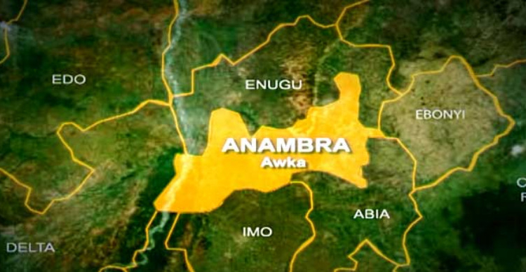 Anambra Electoral Body Clears APGA, YPP For LG Polls 1 a1 1