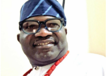 2027 Elections Will Be A Trial For Democracy In Nigeria – SDP Spokesman
