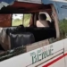 Benue Links Driver Arrested Over Unauthorised Trip
