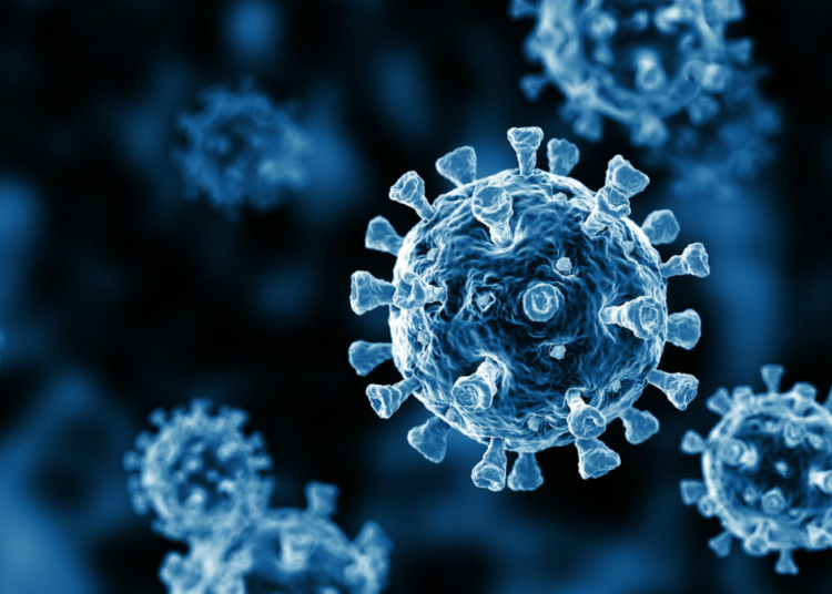 NCDC Confirms Isolated COVID-19 Case In Cross River 1 covid cells