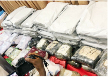 How More Elderly Citizens Are Getting Involved In Illicit Drug Trade