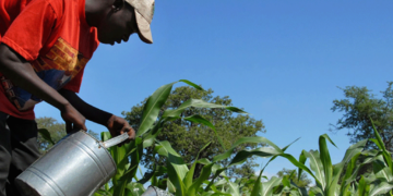 200 Farmers, Herders Benefit From Climate-Smart SPAR Initiative In Katsina