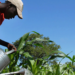 200 Farmers, Herders Benefit From Climate-Smart SPAR Initiative In Katsina