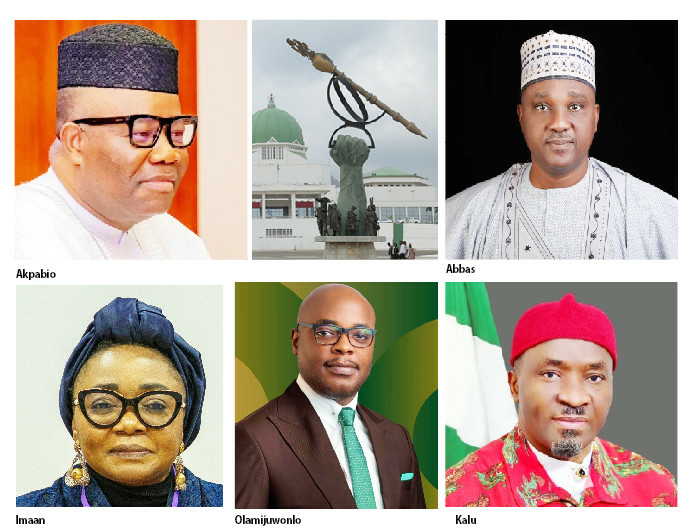 Balancing Act: Nigeria’s Gender Representative Bill Sparks Debate 1 gender representative bill