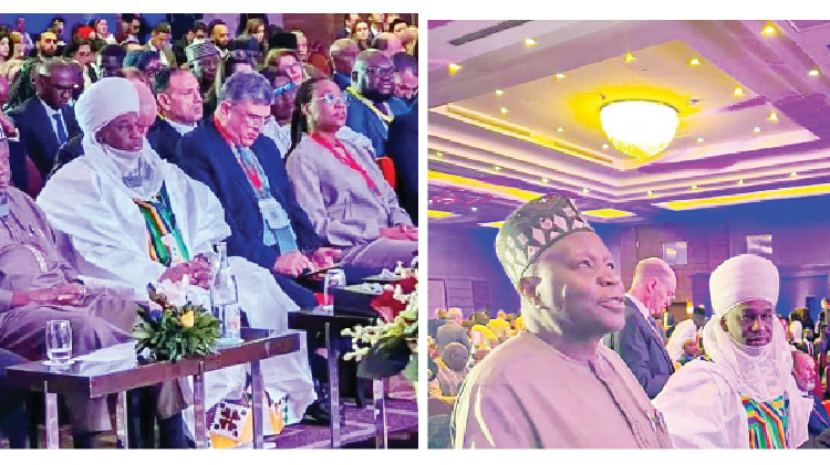 gombe gov yahaya in tunis