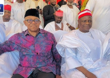 Delta Gov Aide Dares Peter Obi To Test Popularity In Kano Without Kwankwaso