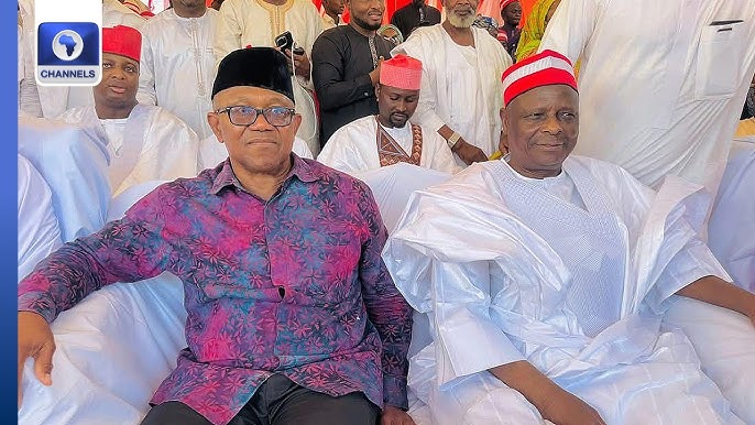 Delta Gov Aide Dares Peter Obi To Test Popularity In Kano Without Kwankwaso