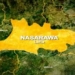 11 Killed, Dozens Of Houses Burnt In Nasarawa Communities’ Clash