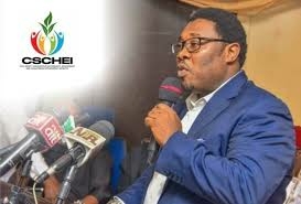 Leverage Our Networks To Combat Insecurity, CSOs Tell FG 1 images 2026 04 06T150435.760