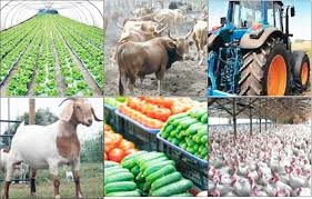 FG Recommits To Affordable Finance For Youth-led Agribusiness