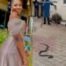 ‎Friends of Nanya Stung By Snake Accuse Church Chorister Of Orchestrating Her Death To Take Her Place