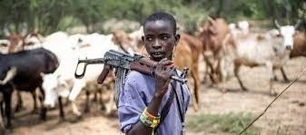 Vigilante Leader Missing After Clash With Suspected Armed Herders
