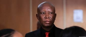 South African Opposition Leader Julius Malema Jailed 5 Years Over Gun Use Charge 1 images 2026 04 16T124301.864