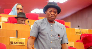Senate Reshuffle: ADC’s Nwoye Becomes Minority Whip 1 images 2026 04 22T150915.231
