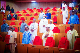Nwoye Becomes Minority Whip In APC-dominated Senate 1 images 2026 04 22T151108.629