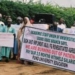 Unpaid Allowances: ASUU Warns Of Potential Strike In Sokoto Varsities 5 Unpaid Allowances: ASUU Warns Of Potential Strike In Sokoto Varsities