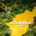 Adamawa Destroys 70 Toxic Cows