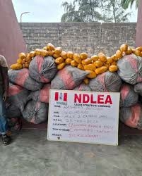 NDLEA Seizes Dangerous Captagon Drug In Kwara Operation 1 images 2026 04 27T112310.325