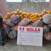 NDLEA Seizes Dangerous Captagon Drug In Kwara Operation 5 NDLEA Seizes Dangerous Captagon Drug In Kwara Operation