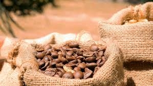 Nigeria Shifting from Raw Shea Exports, Targets Value Addition 1 images 2026 04 28T162253.680