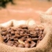 Nigeria Shifting from Raw Shea Exports, Targets Value Addition 5 Nigeria Shifting from Raw Shea Exports, Targets Value Addition