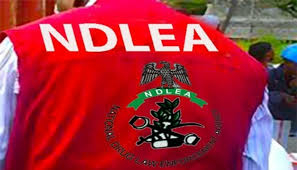 NDLEA, Customs Seal Deal On Joint Enforcement Operations 1 images 2026 04 28T171202.484