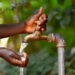 ECA Urges Coordinated Action On Water, Sanitation In Africa 5 ECA Urges Coordinated Action On Water, Sanitation In Africa