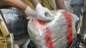 Customs Seize N18.96bn Cannabis Hidden In Imported Vehicles At Lagos Port 1 images 2026 04 30T173655.591