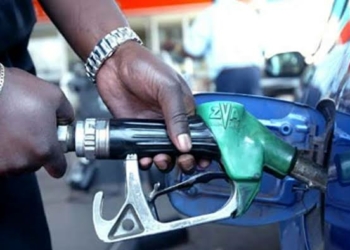 NESG To FG: Avoid Fuel Subsidy Reversal Or Risk Economic Collapse