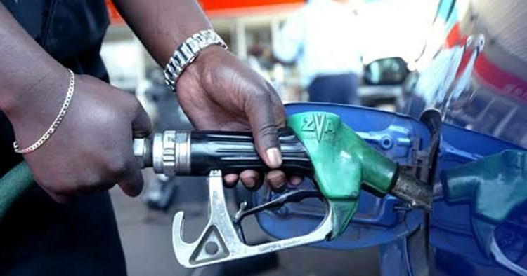 NESG To FG: Avoid Fuel Subsidy Reversal Or Risk Economic Collapse 1 images 72