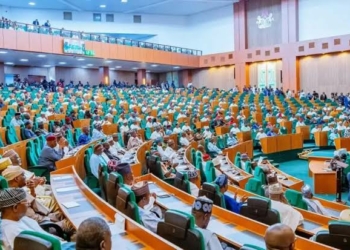Reps To Approve N248.63bn Reliefs, Debt Restructuring For DisCos