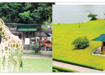Making Money From Nature With Leisure Parks, Gardens