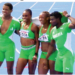 NSC Sets Up Diaspora Talent Committee To Tap Global Nigerian Stars