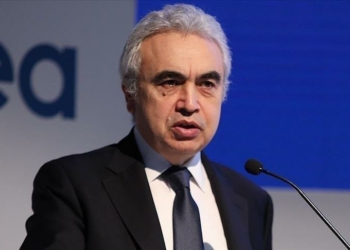 IMF, World Bank, IEA Join Forces to Battle Energy Crisis