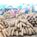 Stakeholders Promote Smart Farming Technique, Target 10m Yams For Nigeria 5 Yam Value Chain Rises As Lucrative Investment Amid Food Crisis