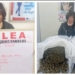 NDLEA Intercepts Chinese Grandma With Canadian 'Loud' At Lagos Airport 4 NDLEA Intercepts Chinese Grandma With Canadian ‘Loud’ At Lagos Airport