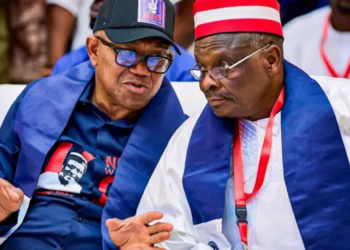 Obidient, Kwankwasiyya Movements Push for Consensus Presidential Ticket, Raise Funds