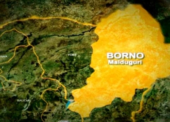 Boko Haram Agrees To Conditional Release Of 50 Kidnapped Borno Women, Kids — BOSYA