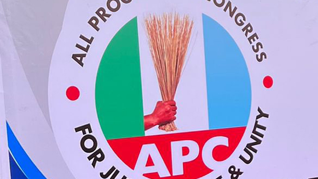 APC Reps Primaries Record Peaceful Voting Amid Consensus Arrangements, Alleged Irregularities