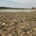 KADCCAM Urges Action To Protect Biodiversity, Vulnerable Communities