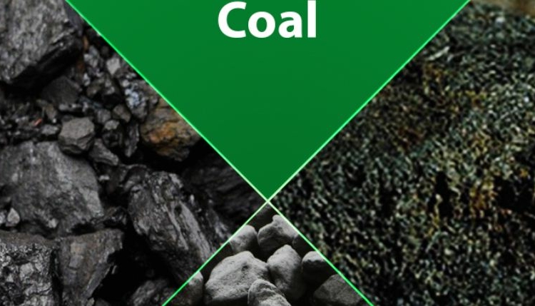 Return Of Coal Power May Alter Global Clean Energy Drive 1 Coal