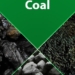 Return Of Coal Power May Alter Global Clean Energy Drive 5 Return Of Coal Power May Alter Global Clean Energy Drive