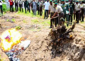 Contraband Crackdown: Prisons Destroys 1,167 Phones, Drugs, Sanctions 147 Officers 3 Contraband 2