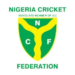 NCF Unveils Franchise Squads for Maiden Nigeria Super League