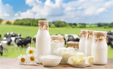 Federal Govt Trains 100 Dairy Farmers On Milk Production