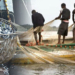 Nigeria’s Industrial Fishing Sector Meets 10% Of 35% Annual Capacity